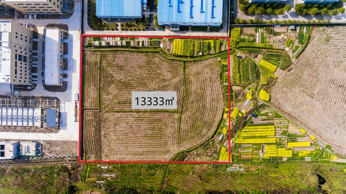 阿法埃沙南20亩 - 副本.jpg