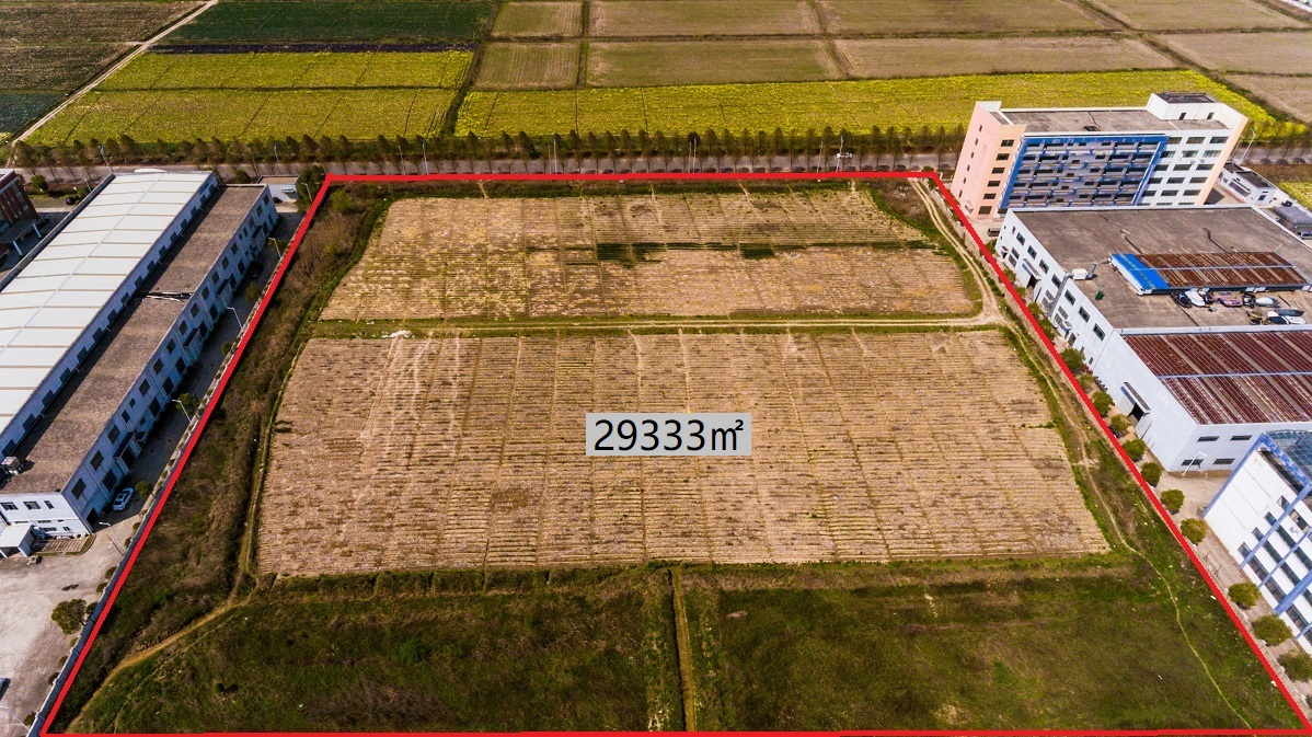 戴拉沛塔 - 副本.jpg